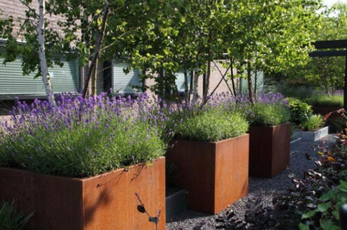 Grandes boîtes de planteur de Rusty Square Corten Steel Flower de pots de jardin en métal