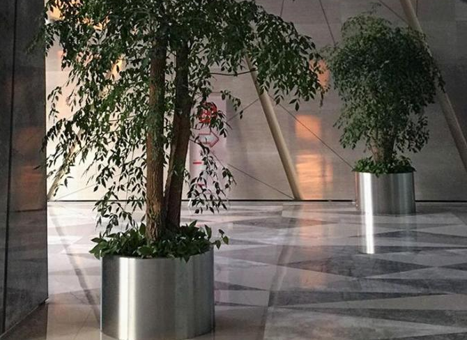 Acier inoxydable poli décoratif adapté aux besoins du client de taille autour des pots de fleur