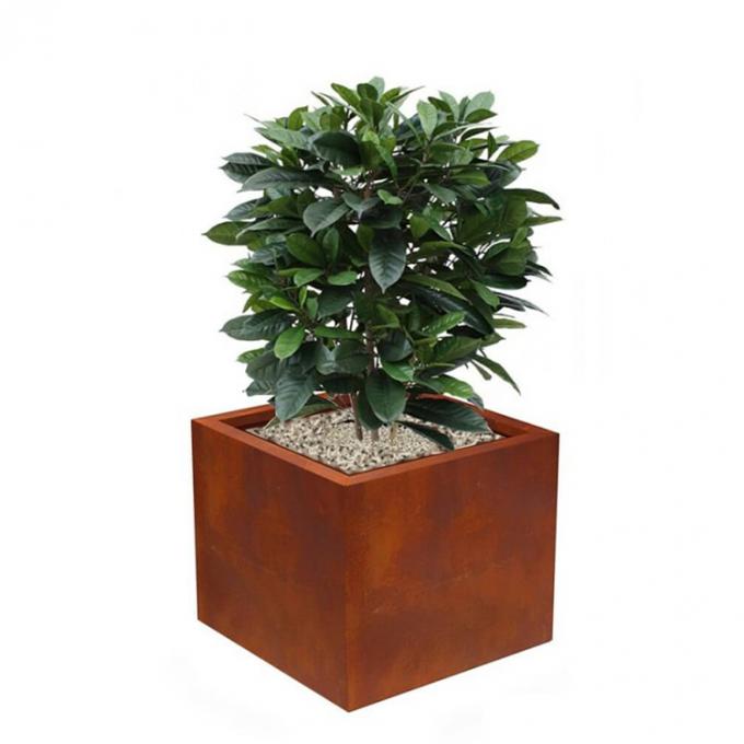 Planteur en acier de Corten de jardin d'usine de fleur de pot en métal de boîte directe d'usine