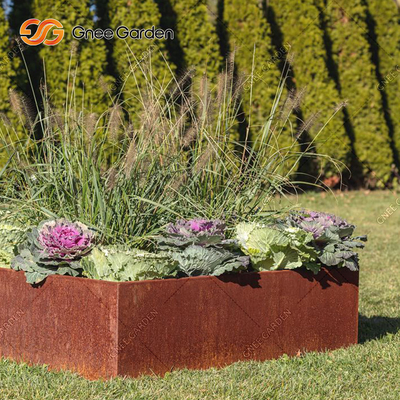 Le planteur en acier de Corten de jardin enferme dans une boîte de forme rectangulaire