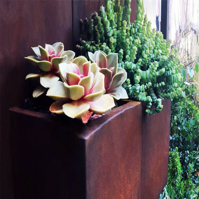 Boîte de planteur d'envergure en acier de Corten de jardin la grande s'est rouillée survivant à l'acier pour la ferme