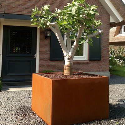 Boîte de planteur d'envergure en acier de Corten de jardin la grande s'est rouillée survivant à l'acier pour la ferme