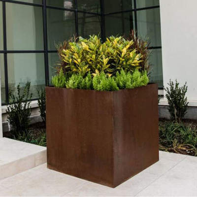 Le laser en acier de planteur de cube en GV TUV Corten a coupé la preuve d'abrasion de Rusty Steel Planters