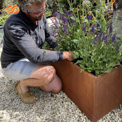 les planteurs végétaux en acier de 1200*500*600mm Corten se sont rouillés des boîtes de planteur en métal