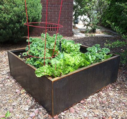 Lit de jardin augmenté par métal extérieur de balcon de patio d'ODM d'OEM pour antirouille végétal