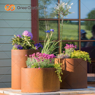 Boîtes en acier faites sur commande rectangulaires de planteur de jardin de Gnee avec la certification de GV