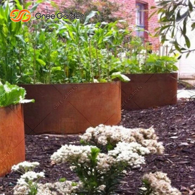 Lit de jardin augmenté par métal extérieur de balcon de patio d'ODM d'OEM pour antirouille végétal