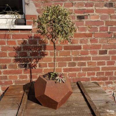 Le laser a coupé le pot de fleur extérieur de jardin en acier de planteur de Corten