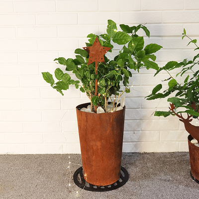 Le jardin en acier de altération superficiel par les agents en forme d'étoile en métal ornemente la décoration de Noël