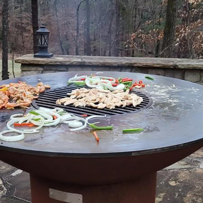 Le charbon de bois a rempli de combustible le métal les grils à cuire qu'extérieurs de BARBECUE protègent contre les intempéries pour des légumes de viande