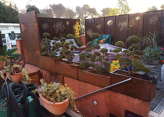 le jardin en métal de modèle de chrysanthème de 3mm ornemente Corten le laser qu'en acier a coupé des panneaux