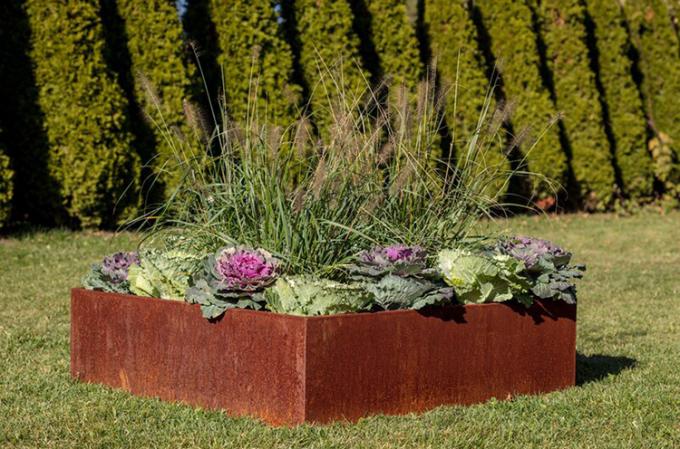Boîtes de planteur de lit de jardin augmentées par métal pour les légumes, les fruits, la pomme de terre, et le jardin extérieurs de serre chaude de balcon de patio de fleur