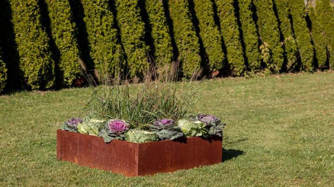 L'acier de liquidation a soulevé le bord extérieur instantané de jardin de planteur en métal en métal 65l*65w*30h cm de planteur de lit de jardin