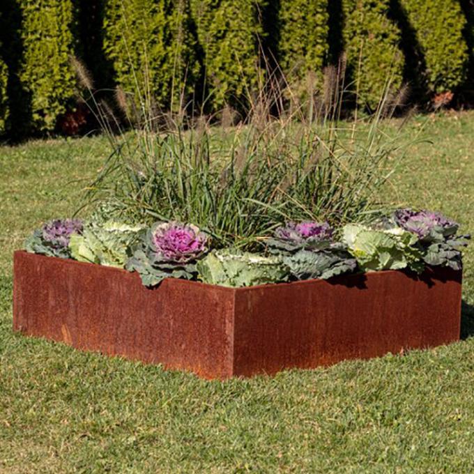 La fleur végétale de planteur en métal soulevant les lits de jardinage enferment dans une boîte le bord augmenté en acier de jardin