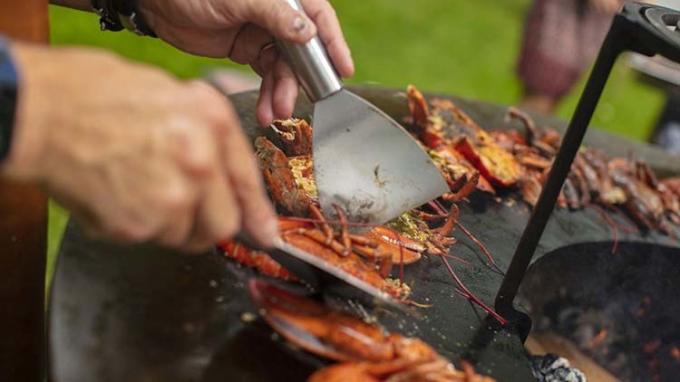 Le BARBECUE grille la cuisson extérieure brûlante de Plancha de fonte en bois multifonctionnel du feu pour le pique-nique de réception en plein air